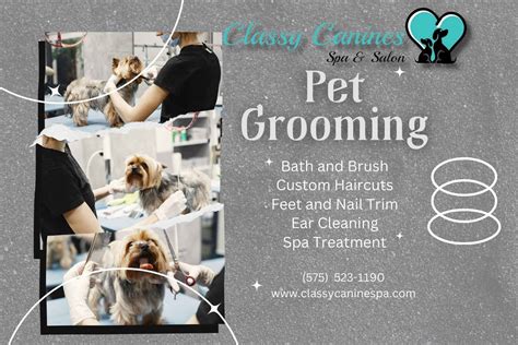 classy canine styles|classy canines grooming.